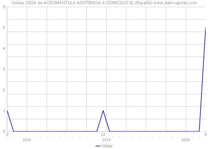 Visitas 2024 de ACROMANTULA ASISTENCIA A DOMICILIO SL (España) 