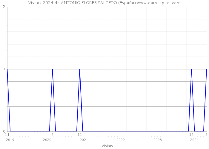 Visitas 2024 de ANTONIO FLORES SALCEDO (España) 