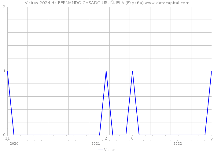 Visitas 2024 de FERNANDO CASADO URUÑUELA (España) 