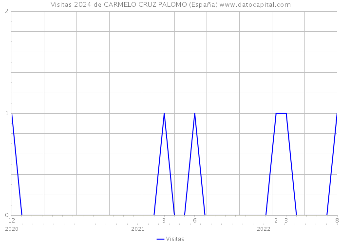 Visitas 2024 de CARMELO CRUZ PALOMO (España) 