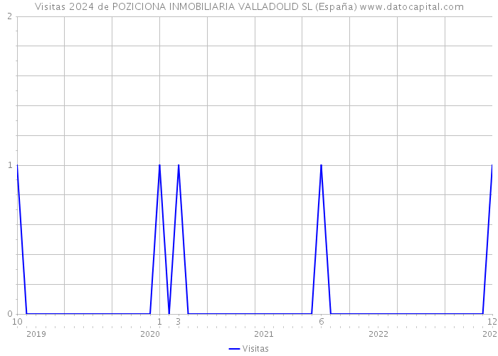 Visitas 2024 de POZICIONA INMOBILIARIA VALLADOLID SL (España) 