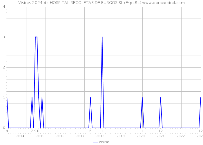 Visitas 2024 de HOSPITAL RECOLETAS DE BURGOS SL (España) 