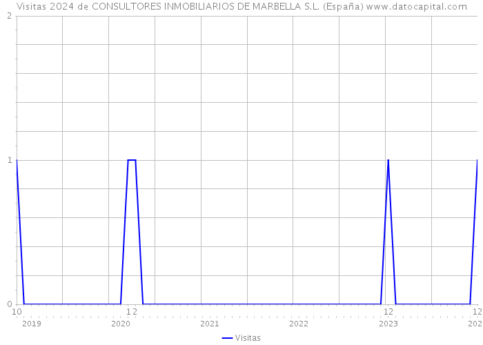 Visitas 2024 de CONSULTORES INMOBILIARIOS DE MARBELLA S.L. (España) 