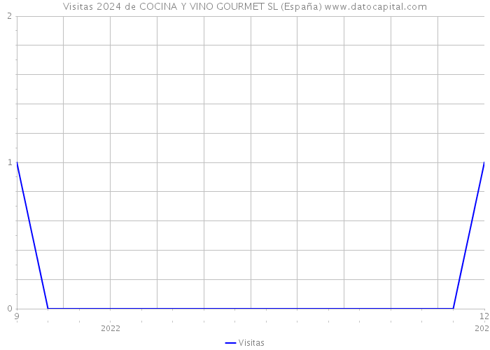 Visitas 2024 de COCINA Y VINO GOURMET SL (España) 