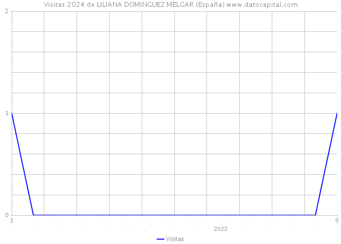 Visitas 2024 de LILIANA DOMINGUEZ MELGAR (España) 