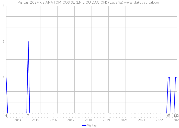Visitas 2024 de ANATOMICOS SL (EN LIQUIDACION) (España) 