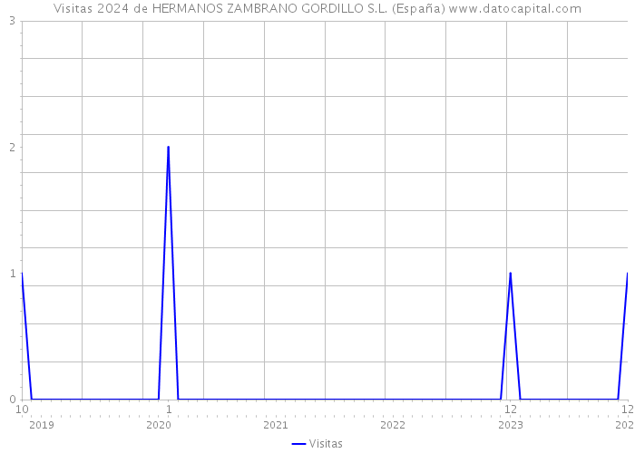 Visitas 2024 de HERMANOS ZAMBRANO GORDILLO S.L. (España) 