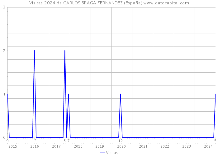 Visitas 2024 de CARLOS BRAGA FERNANDEZ (España) 