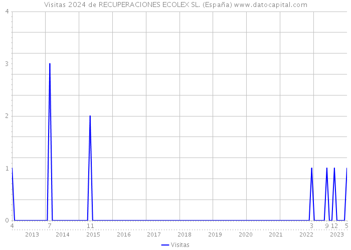 Visitas 2024 de RECUPERACIONES ECOLEX SL. (España) 