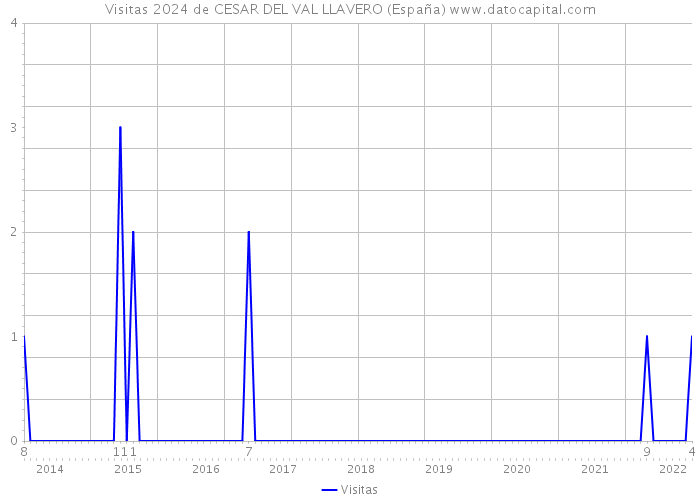 Visitas 2024 de CESAR DEL VAL LLAVERO (España) 