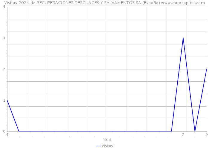 Visitas 2024 de RECUPERACIONES DESGUACES Y SALVAMENTOS SA (España) 