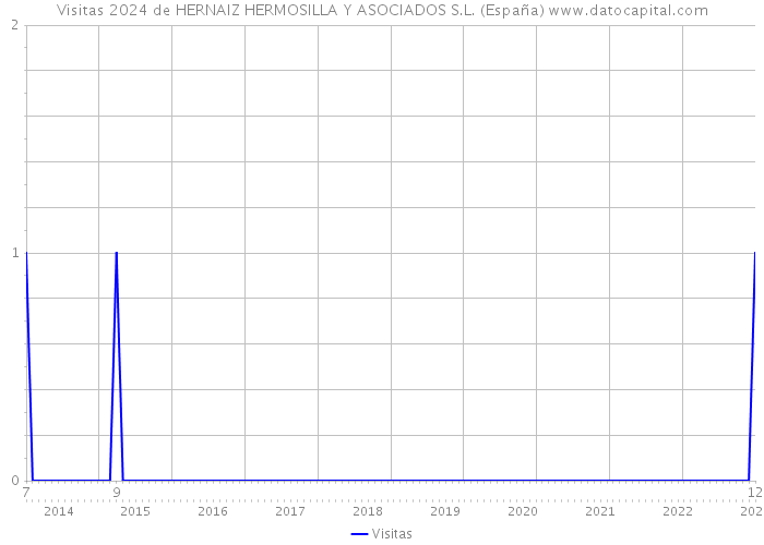 Visitas 2024 de HERNAIZ HERMOSILLA Y ASOCIADOS S.L. (España) 