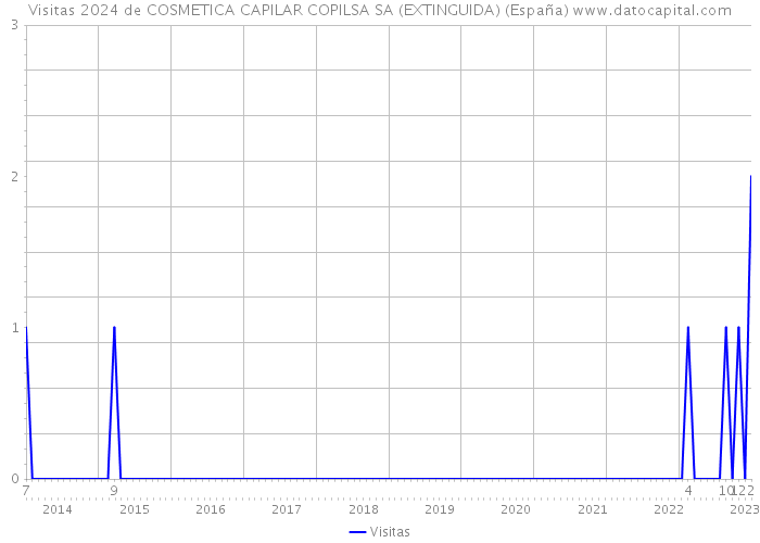 Visitas 2024 de COSMETICA CAPILAR COPILSA SA (EXTINGUIDA) (España) 