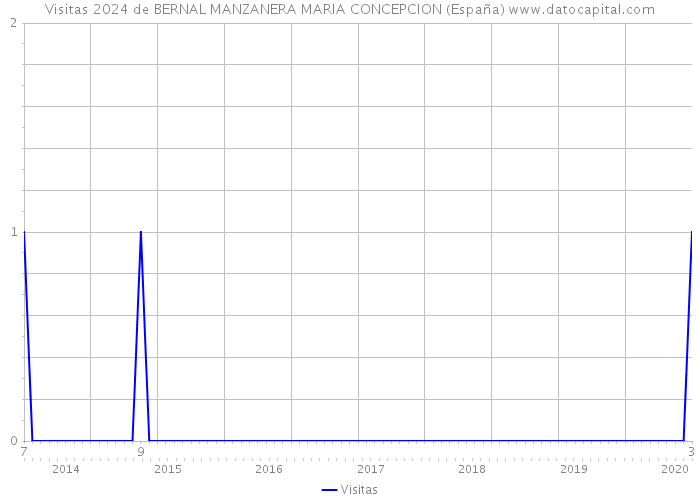 Visitas 2024 de BERNAL MANZANERA MARIA CONCEPCION (España) 