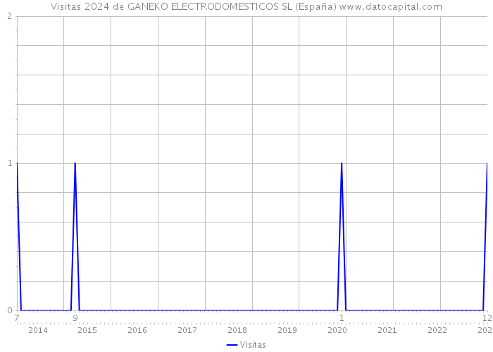Visitas 2024 de GANEKO ELECTRODOMESTICOS SL (España) 