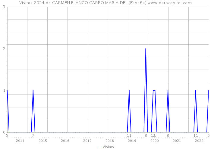 Visitas 2024 de CARMEN BLANCO GARRO MARIA DEL (España) 