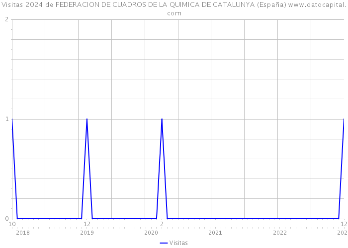 Visitas 2024 de FEDERACION DE CUADROS DE LA QUIMICA DE CATALUNYA (España) 