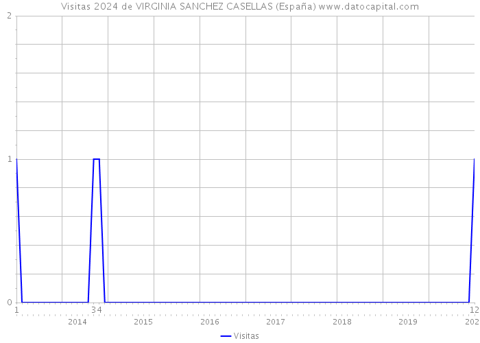 Visitas 2024 de VIRGINIA SANCHEZ CASELLAS (España) 