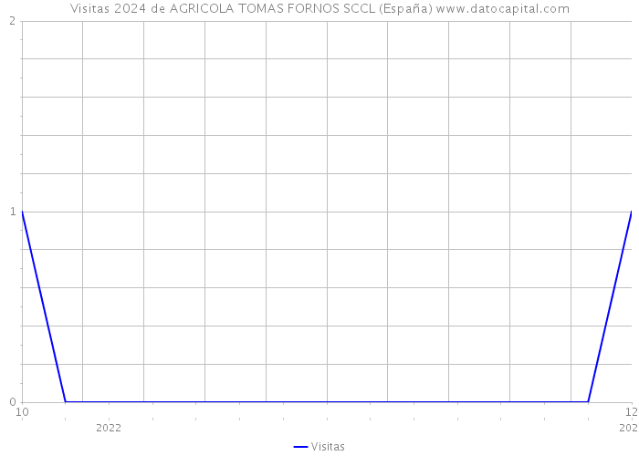 Visitas 2024 de AGRICOLA TOMAS FORNOS SCCL (España) 