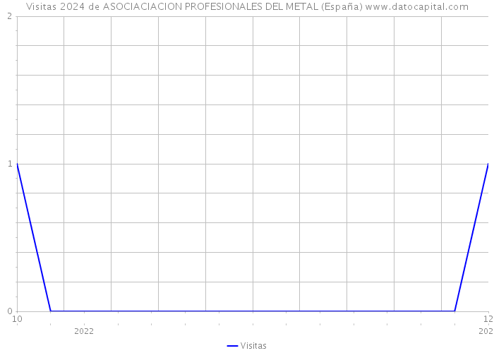 Visitas 2024 de ASOCIACIACION PROFESIONALES DEL METAL (España) 