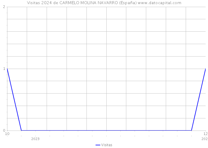 Visitas 2024 de CARMELO MOLINA NAVARRO (España) 