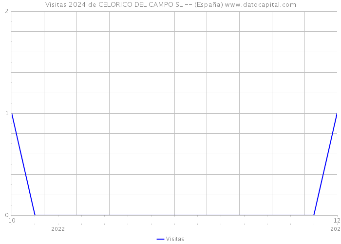 Visitas 2024 de CELORICO DEL CAMPO SL -- (España) 