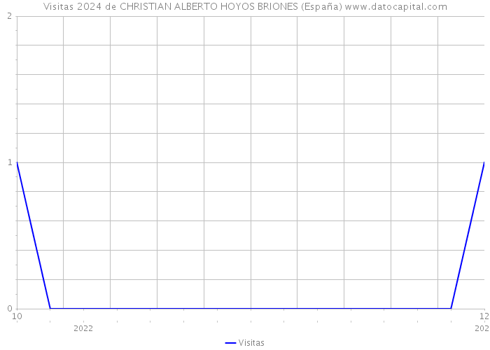 Visitas 2024 de CHRISTIAN ALBERTO HOYOS BRIONES (España) 