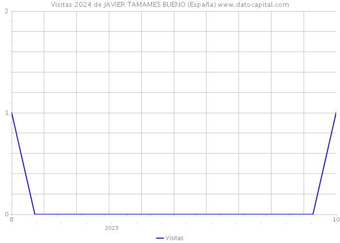 Visitas 2024 de JAVIER TAMAMES BUENO (España) 