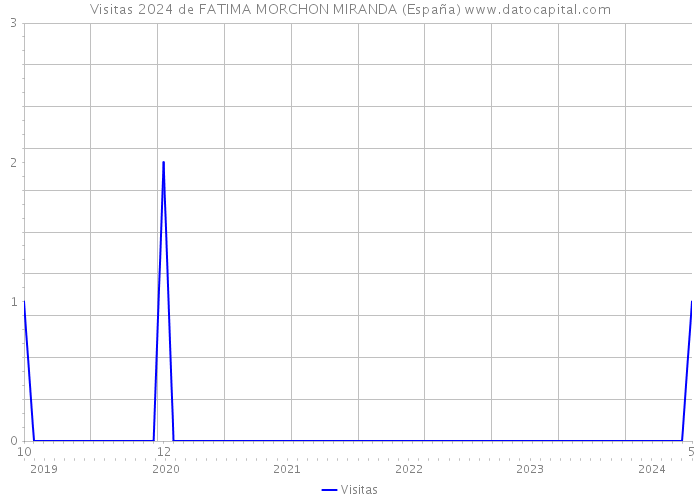Visitas 2024 de FATIMA MORCHON MIRANDA (España) 