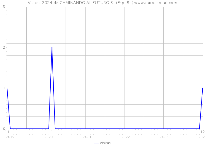Visitas 2024 de CAMINANDO AL FUTURO SL (España) 