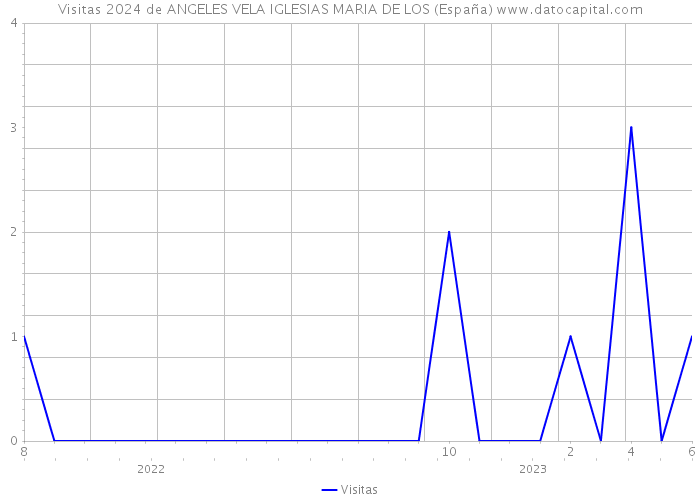 Visitas 2024 de ANGELES VELA IGLESIAS MARIA DE LOS (España) 