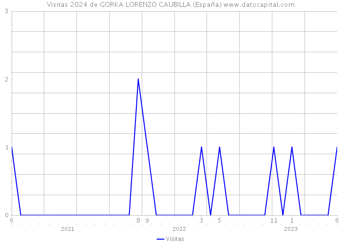 Visitas 2024 de GORKA LORENZO CAUBILLA (España) 