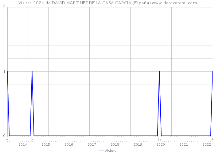 Visitas 2024 de DAVID MARTINEZ DE LA CASA GARCIA (España) 