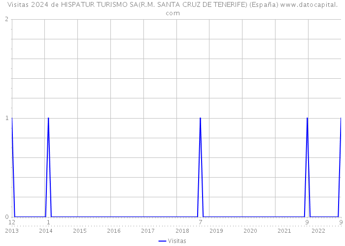 Visitas 2024 de HISPATUR TURISMO SA(R.M. SANTA CRUZ DE TENERIFE) (España) 