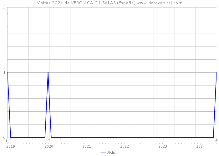 Visitas 2024 de VERONICA GIL SALAS (España) 