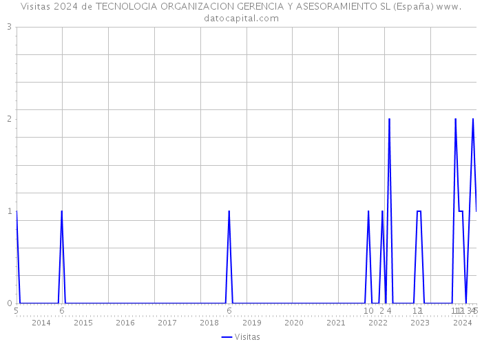 Visitas 2024 de TECNOLOGIA ORGANIZACION GERENCIA Y ASESORAMIENTO SL (España) 