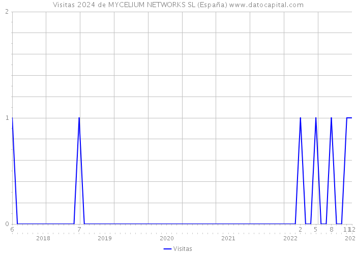 Visitas 2024 de MYCELIUM NETWORKS SL (España) 