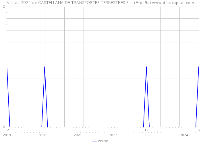 Visitas 2024 de CASTELLANA DE TRANSPORTES TERRESTRES S.L. (España) 