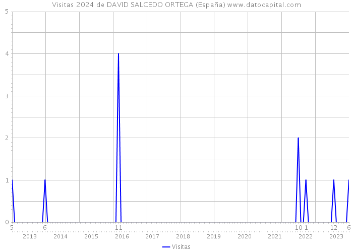 Visitas 2024 de DAVID SALCEDO ORTEGA (España) 