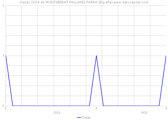 Visitas 2024 de MONTSERRAT PALLARES PARRA (España) 