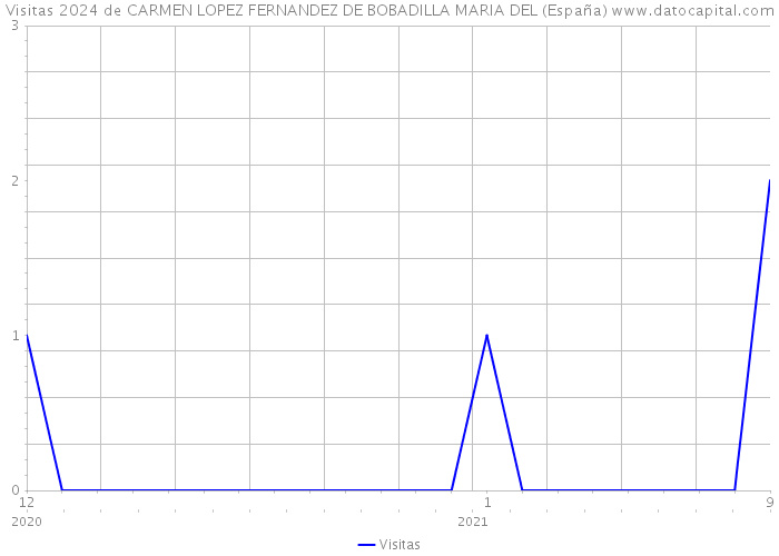 Visitas 2024 de CARMEN LOPEZ FERNANDEZ DE BOBADILLA MARIA DEL (España) 