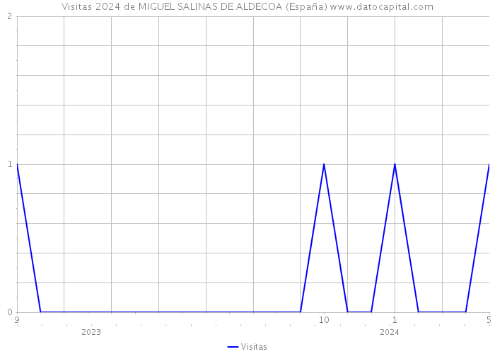 Visitas 2024 de MIGUEL SALINAS DE ALDECOA (España) 
