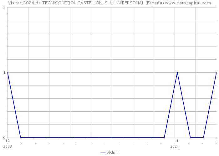 Visitas 2024 de TECNICONTROL CASTELLÓN, S. L. UNIPERSONAL (España) 