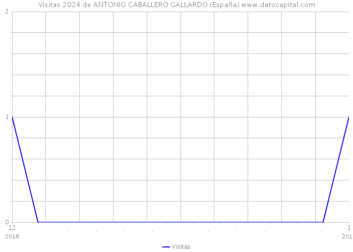 Visitas 2024 de ANTONIO CABALLERO GALLARDO (España) 