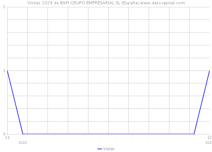 Visitas 2024 de BAPI GRUPO EMPRESARIAL SL (España) 