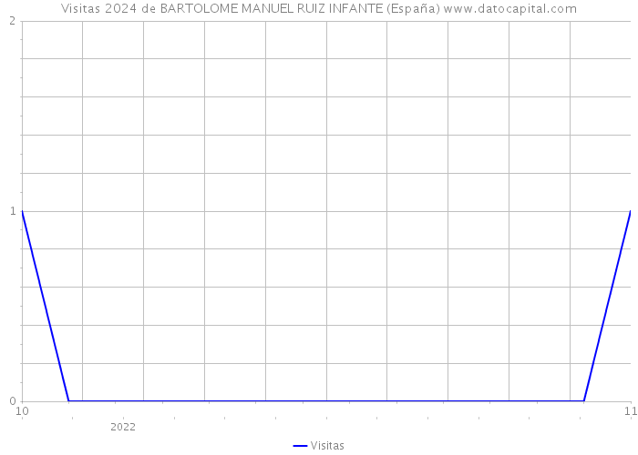 Visitas 2024 de BARTOLOME MANUEL RUIZ INFANTE (España) 