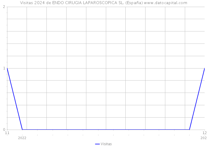 Visitas 2024 de ENDO CIRUGIA LAPAROSCOPICA SL. (España) 