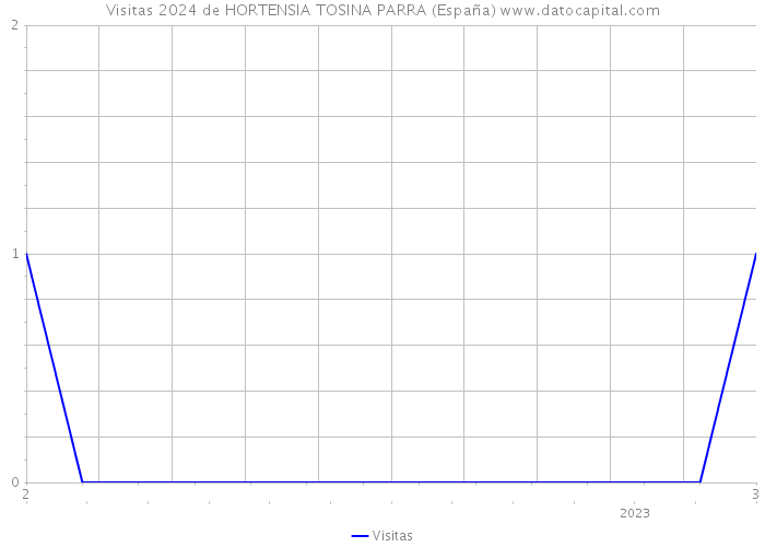 Visitas 2024 de HORTENSIA TOSINA PARRA (España) 