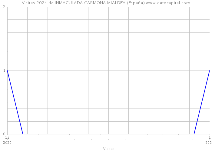 Visitas 2024 de INMACULADA CARMONA MIALDEA (España) 