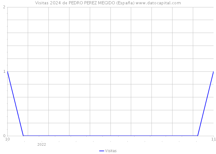 Visitas 2024 de PEDRO PEREZ MEGIDO (España) 